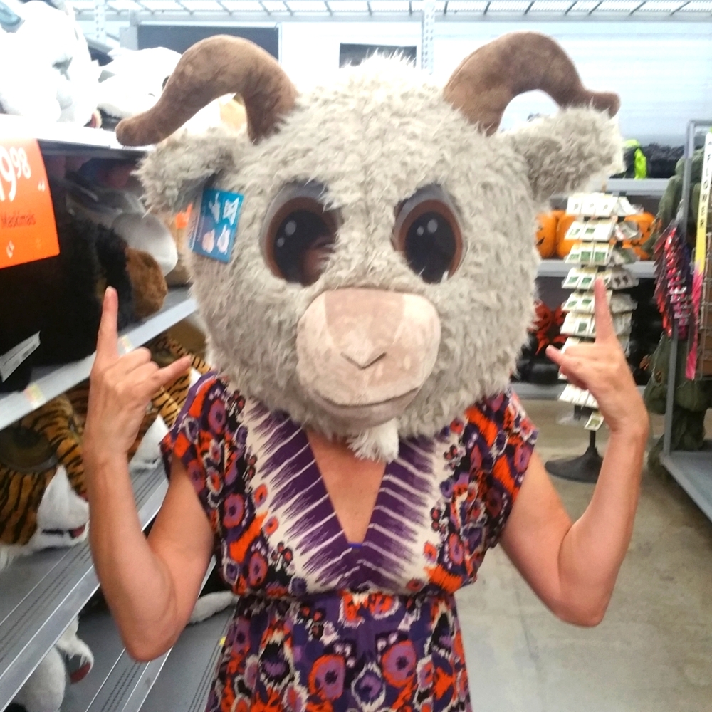 Clothes in all sizes, colors, and brands. Shop too much, gotta keep rotating!